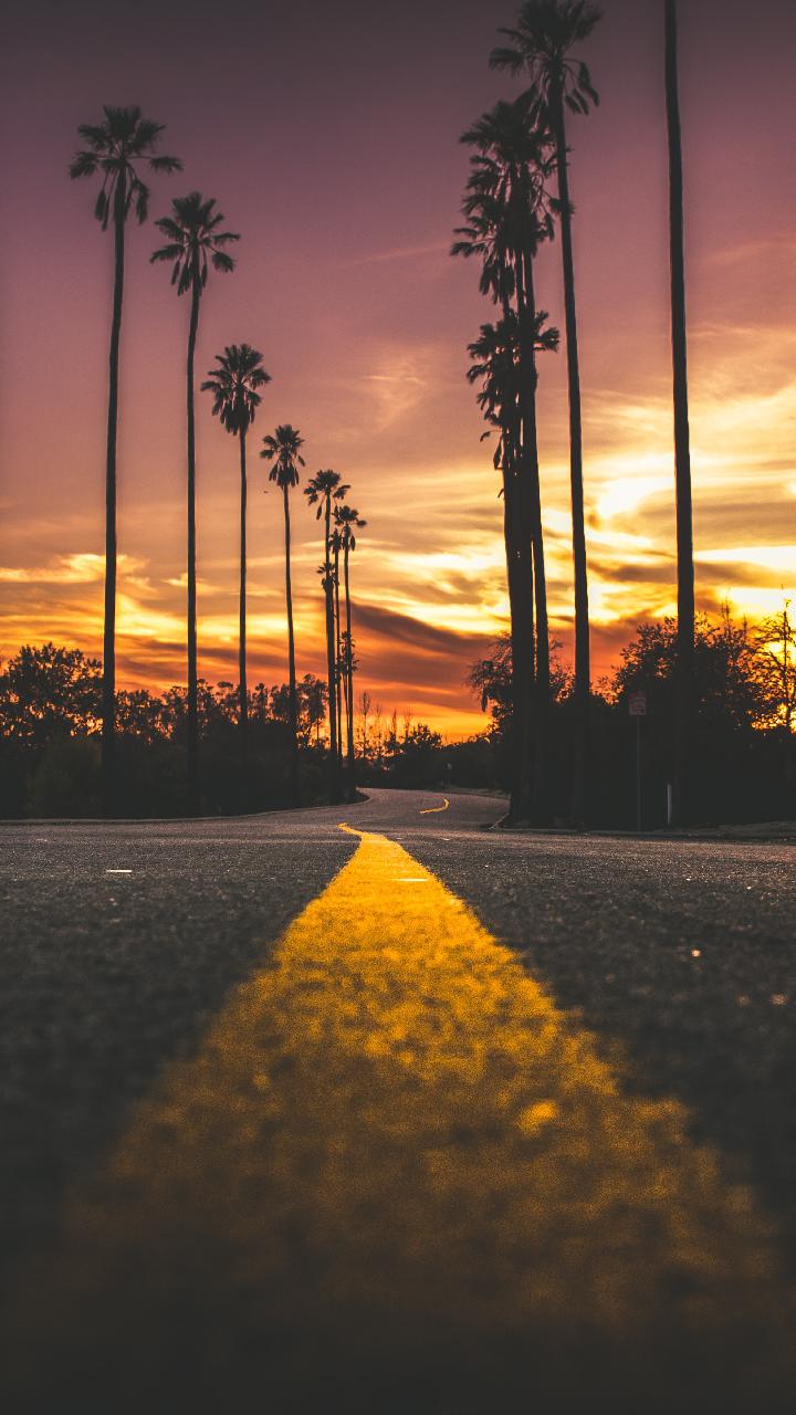 Palme al tramonto strada, 720x1280 Verticale, Telefono