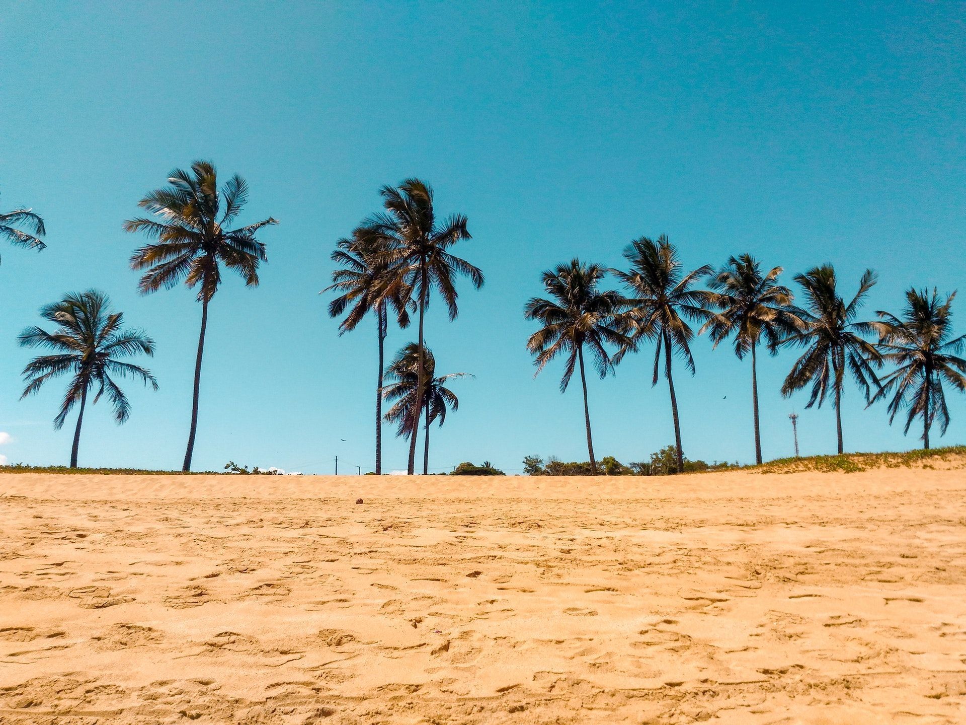 Palme su spiaggia sabbiosa, 1920x1440 Full HD+ WUXGA, Desktop