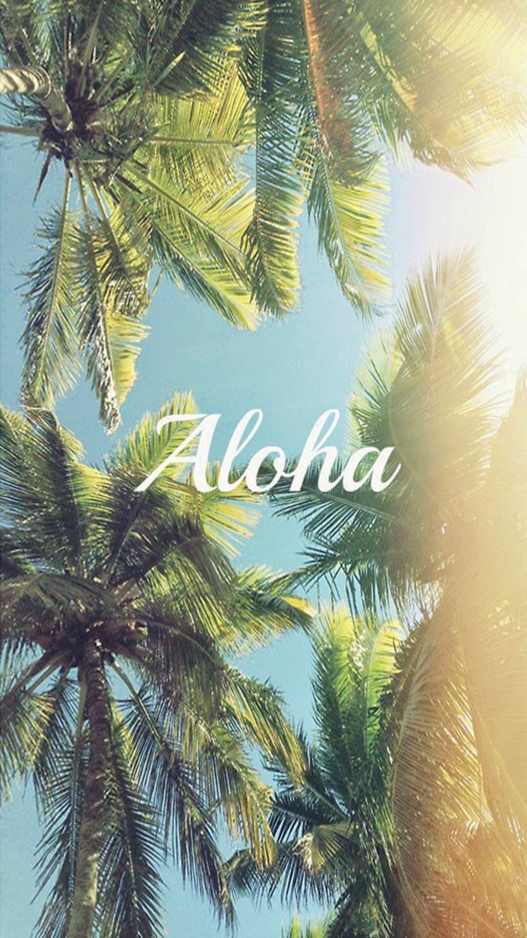 Palme con scritta Aloha, 1080x1920 Full HD Verticale, iPhone Plus