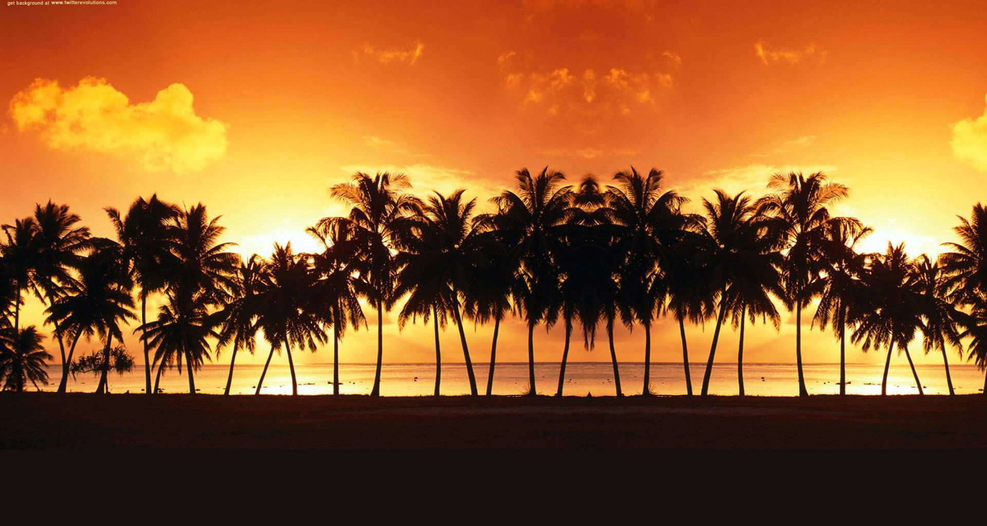 Palme silhouette tramonto arancione, 1920x1024 1080p, Desktop