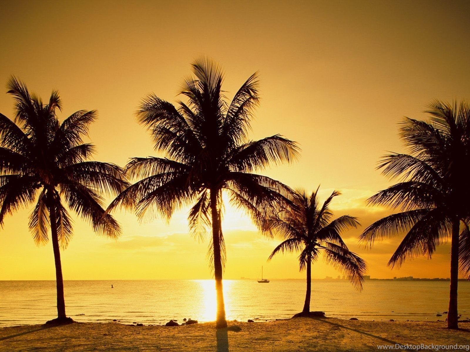 Palme al tramonto sulla spiaggia, 1600x1200 HD, Desktop