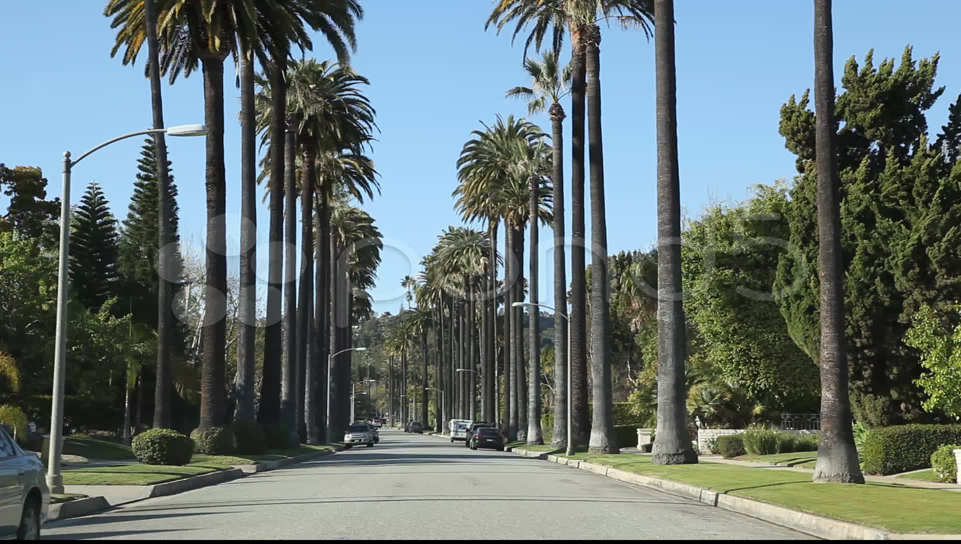 Strada con palme California, 1920x1088 Full HD, Desktop
