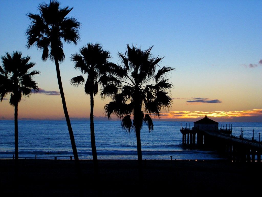 Palme al tramonto sulla spiaggia, 1024x768 HD, Laptop