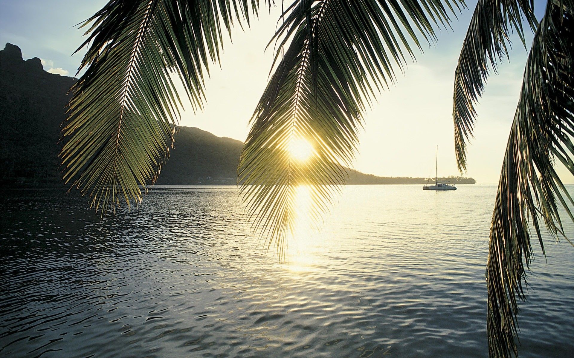 Palme al tramonto sul mare, 1920x1200 WUXGA, PC