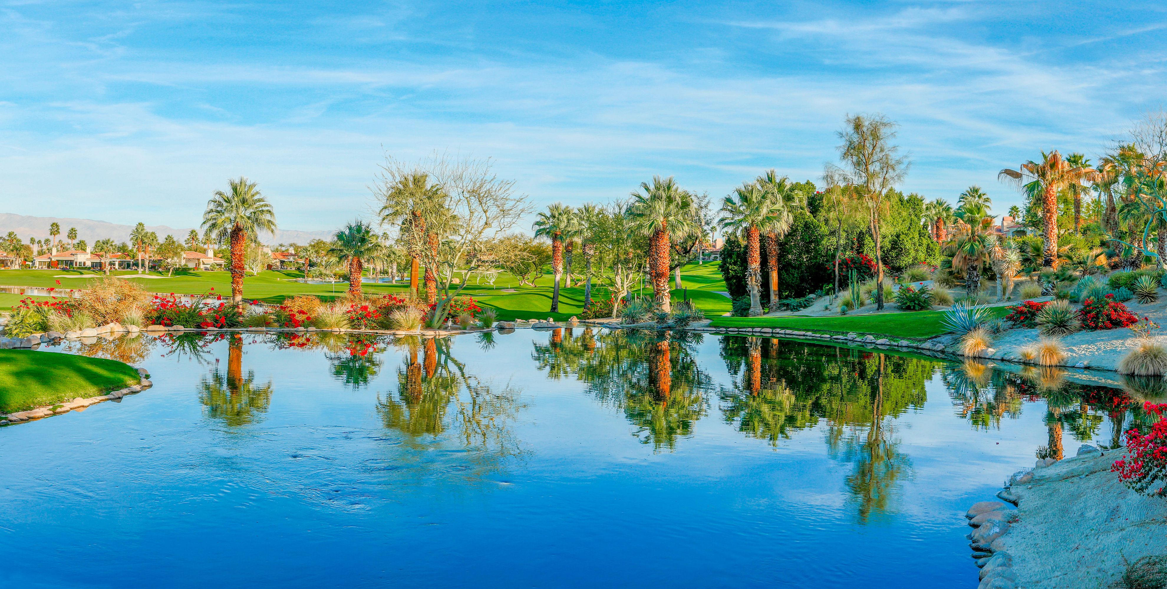 Palme deserto California lago, 3960x2000 Ultra HD, 4K TV