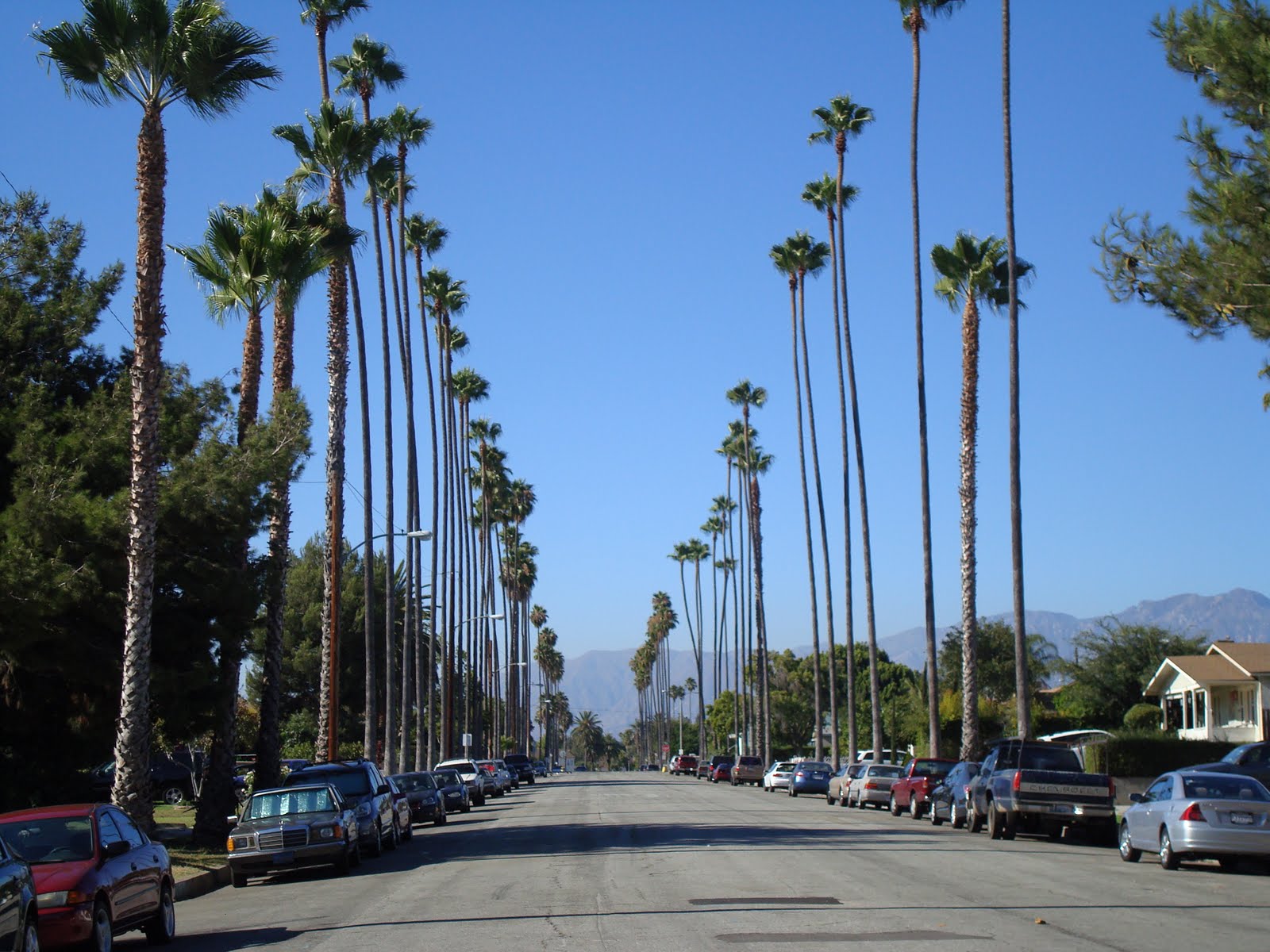 Palme lungo strada Los Angeles, 1600x1200 900p, Laptop