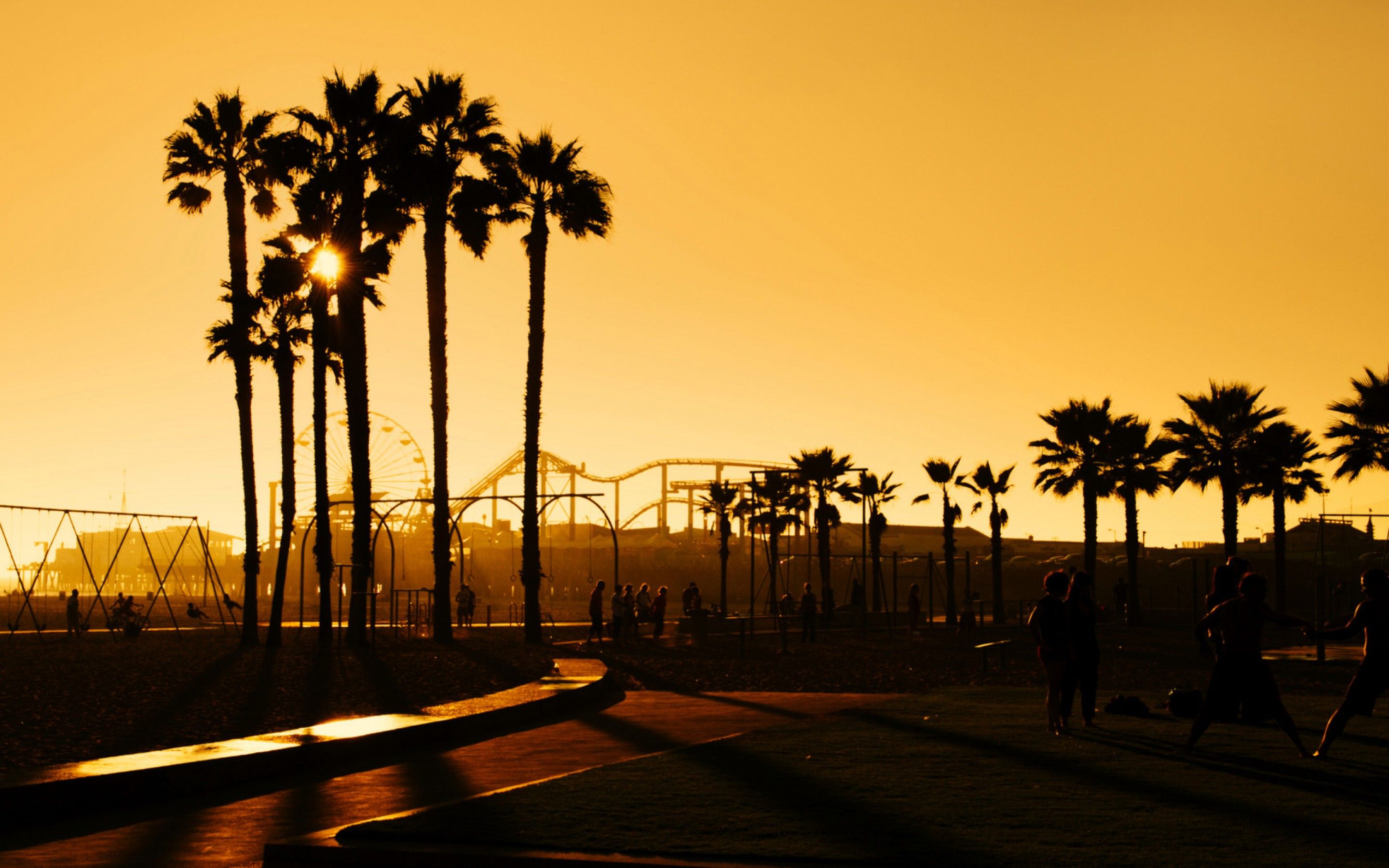 Palme al tramonto Los Angeles, California, 2880x1800 2K+, Desktop