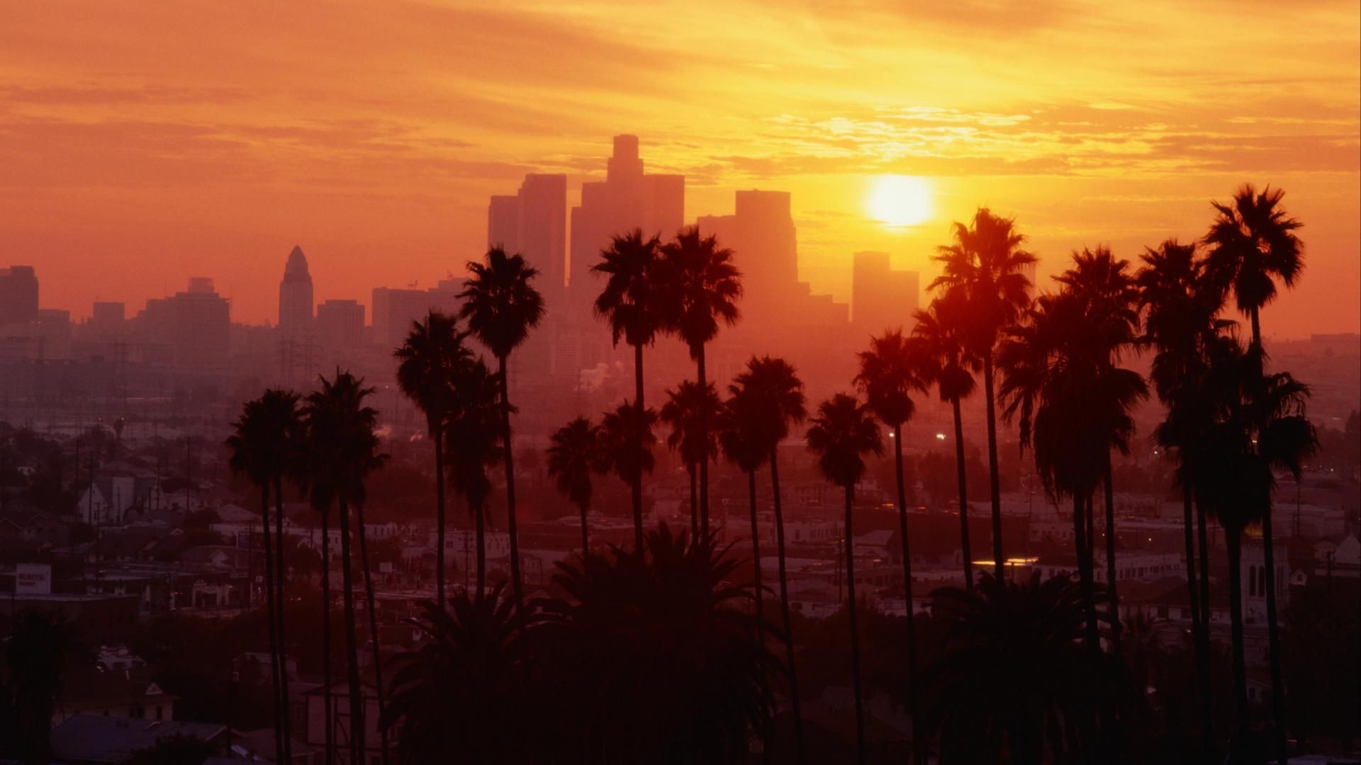 Palme silhouette skyline Los Angeles tramonto, California, 1920x1080 Full HD, Desktop