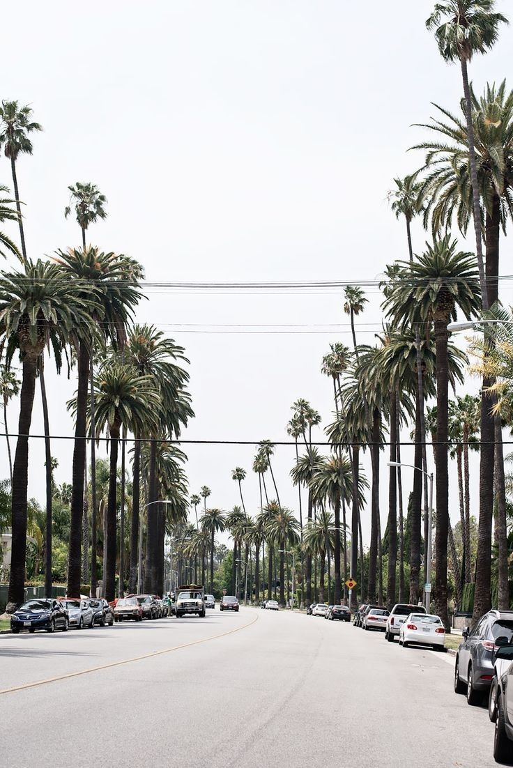 Strada con palme Los Angeles, 736x1102 Full HD Verticale, Samsung Galaxy