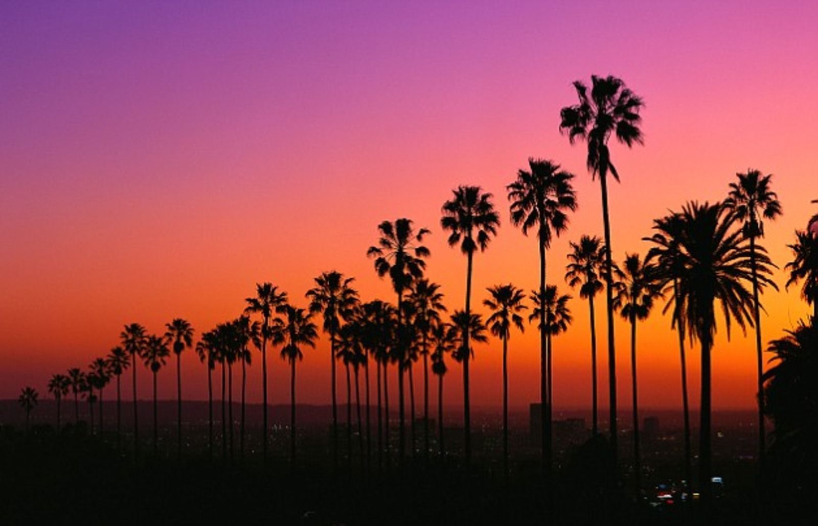 Palme al tramonto Los Angeles, Hollywood, 1600x1030 HD Ready, Desktop