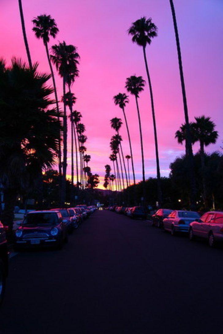 Palme al tramonto Los Angeles, 728x1090 Full HD Verticale, Smartphone