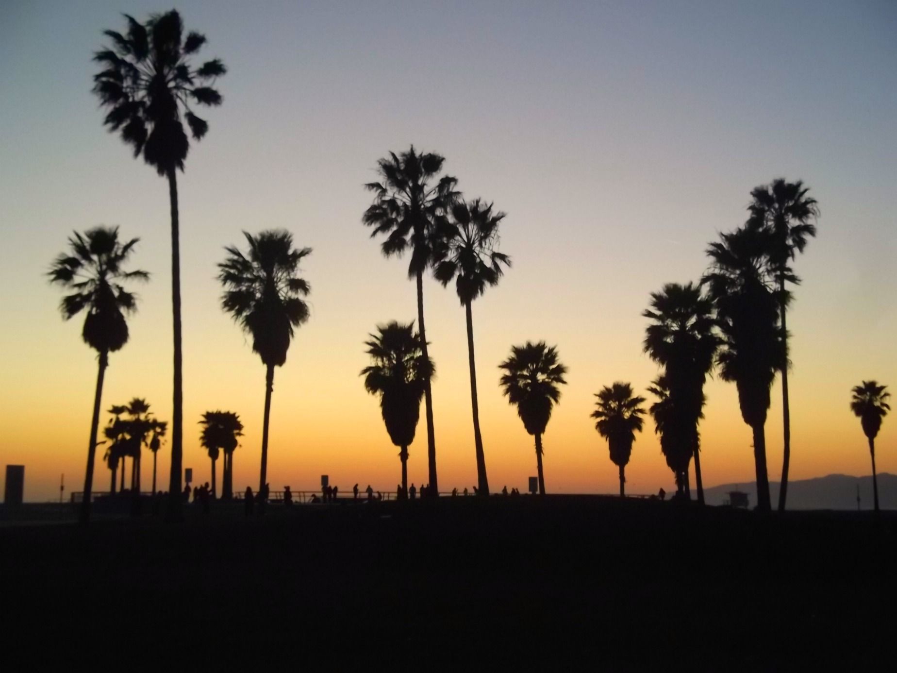 Palme silhouette al tramonto, 1848x1386 900p, Laptop