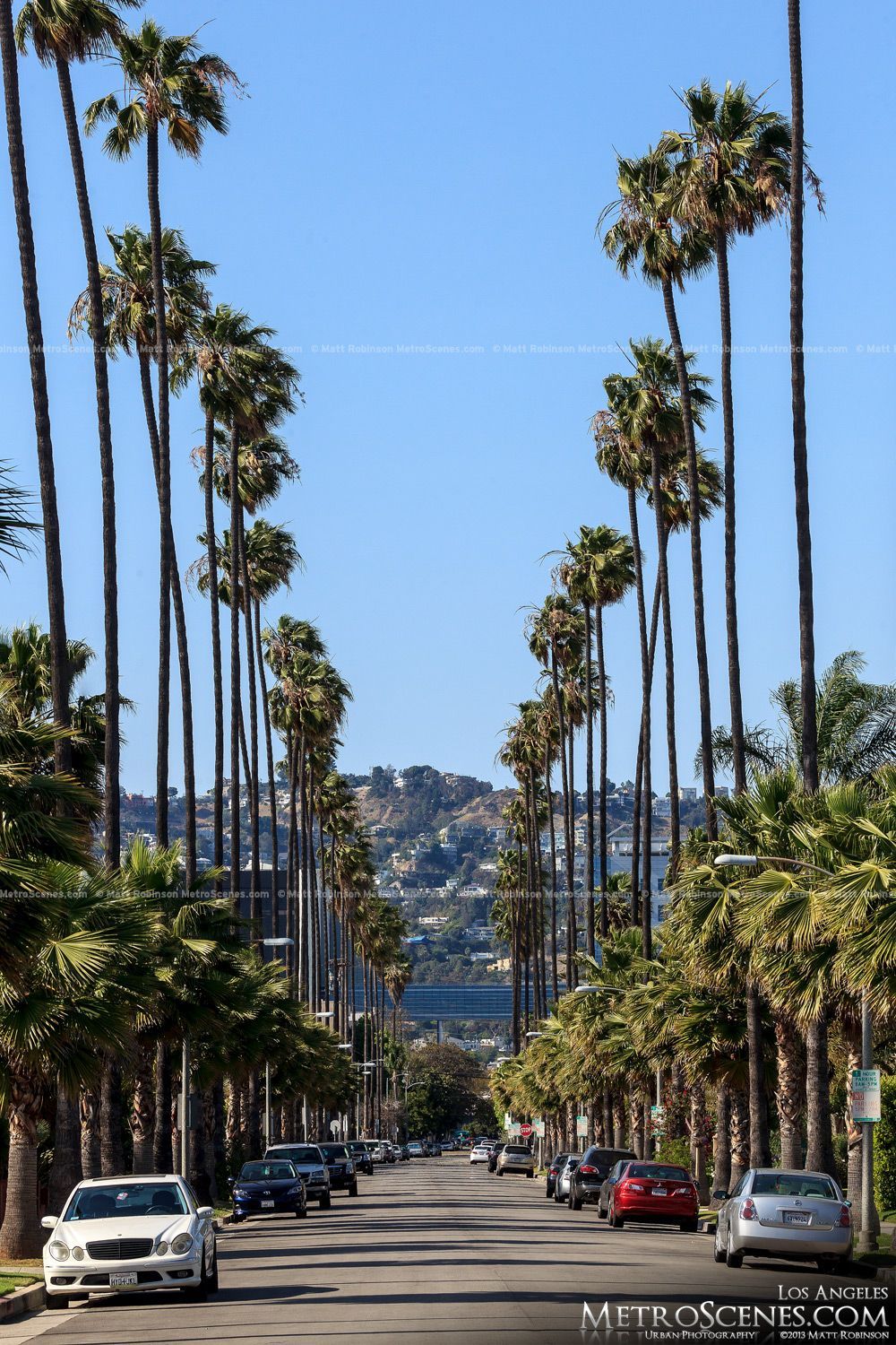 Strada con palme Los Angeles, 1000x1500 Full HD Verticale, Smartphone