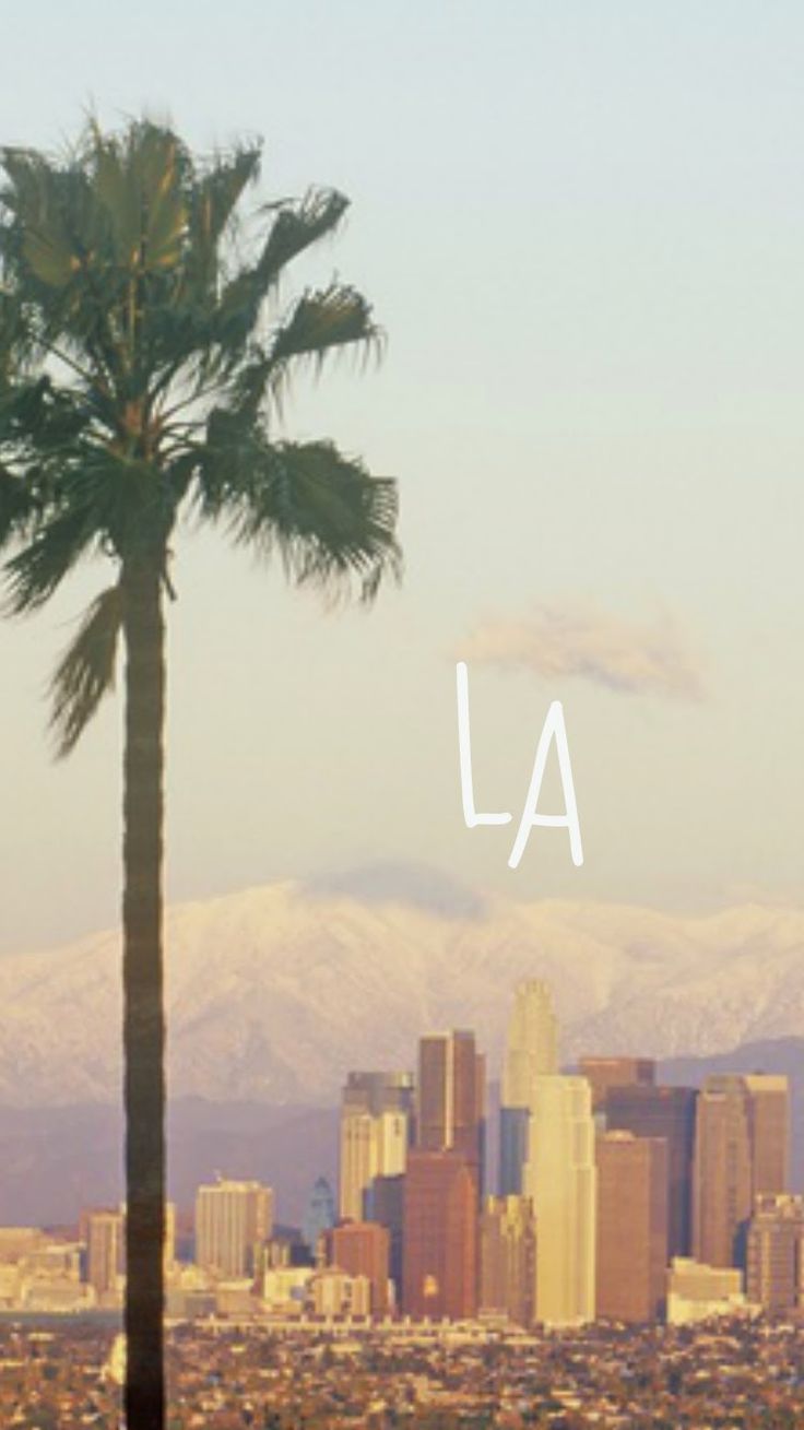 Palma e skyline Los Angeles, 736x1309 Verticale, Telefono
