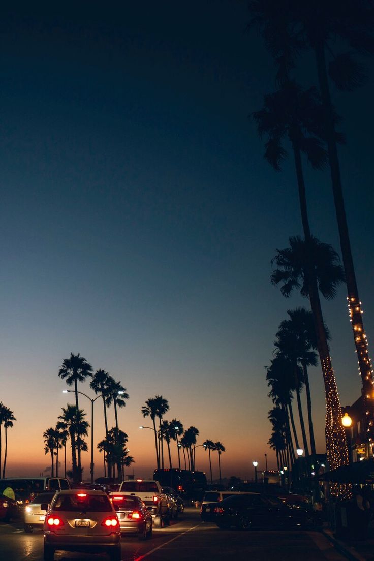 Palme al tramonto Los Angeles, 736x1104 Full HD Verticale, Smartphone