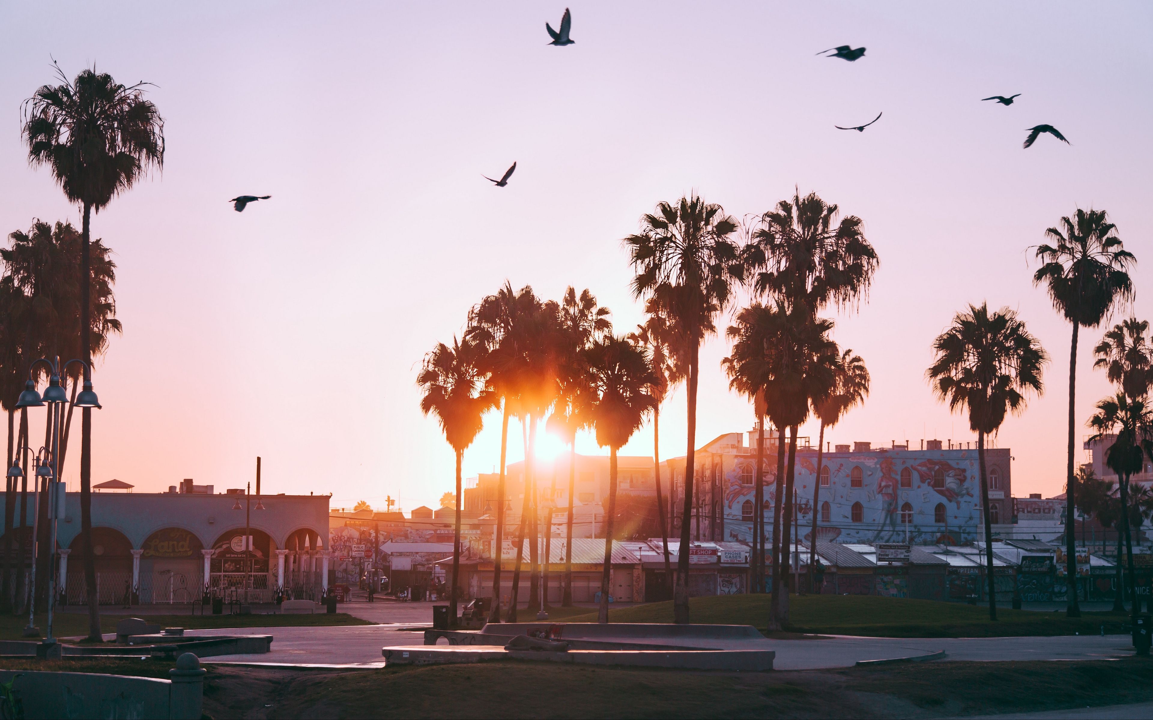 Palme al tramonto Los Angeles, 3840x2400 4K, Desktop 4K