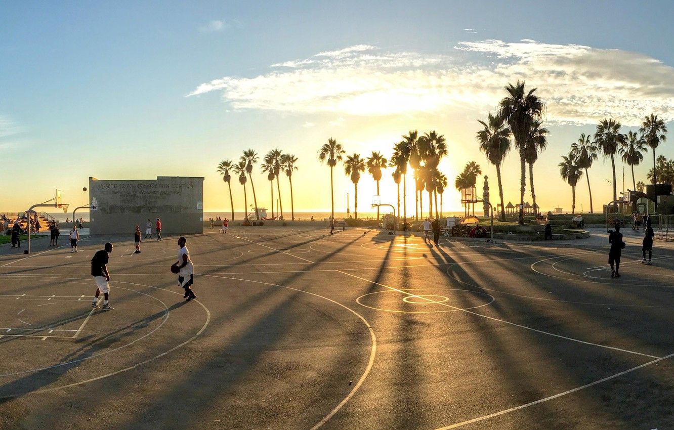 Palme al tramonto, Venice Beach, 1332x850 HD, Desktop