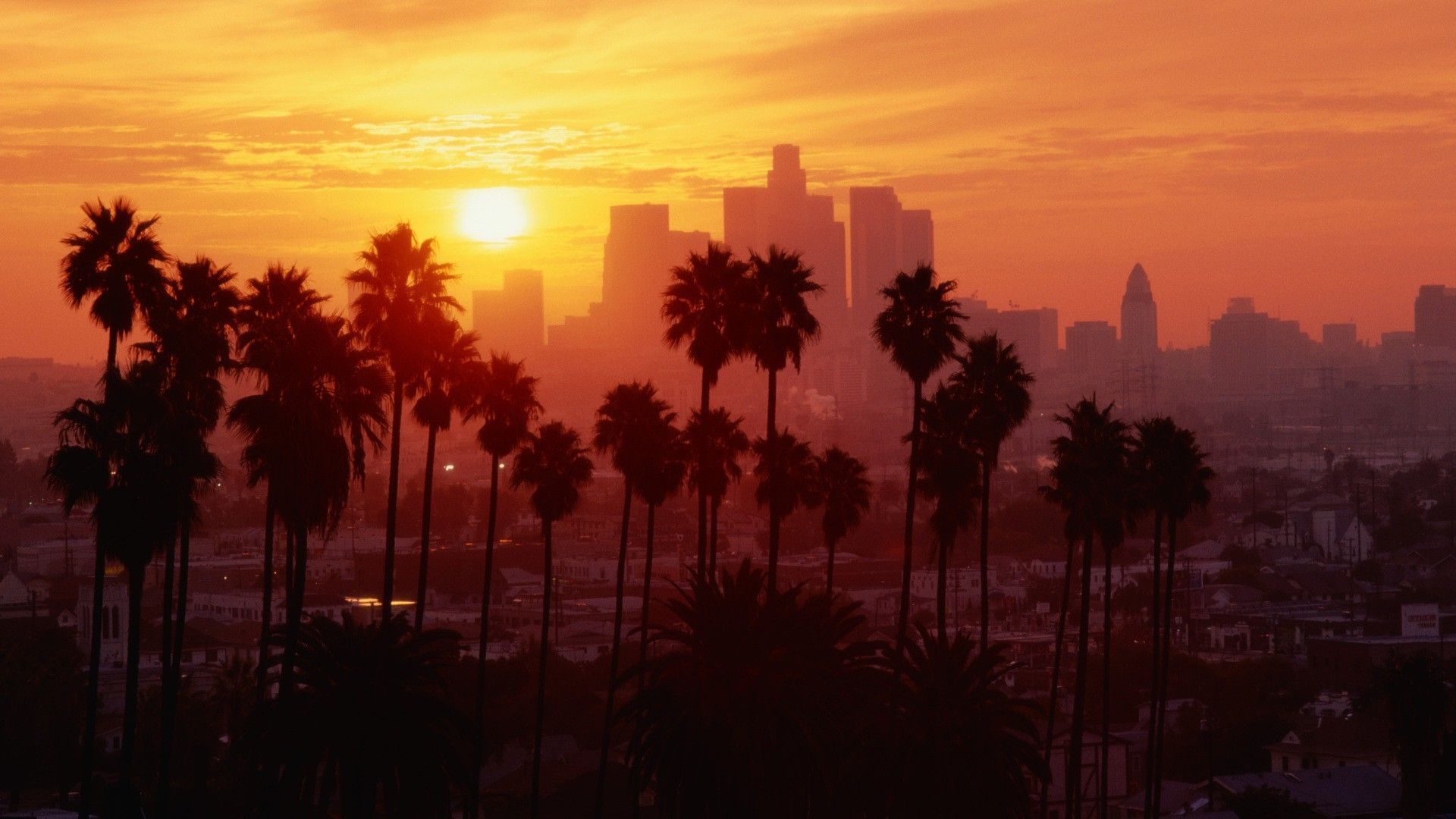 Palme e skyline Los Angeles tramonto, California, 1920x1080 Full HD 1080p, Desktop