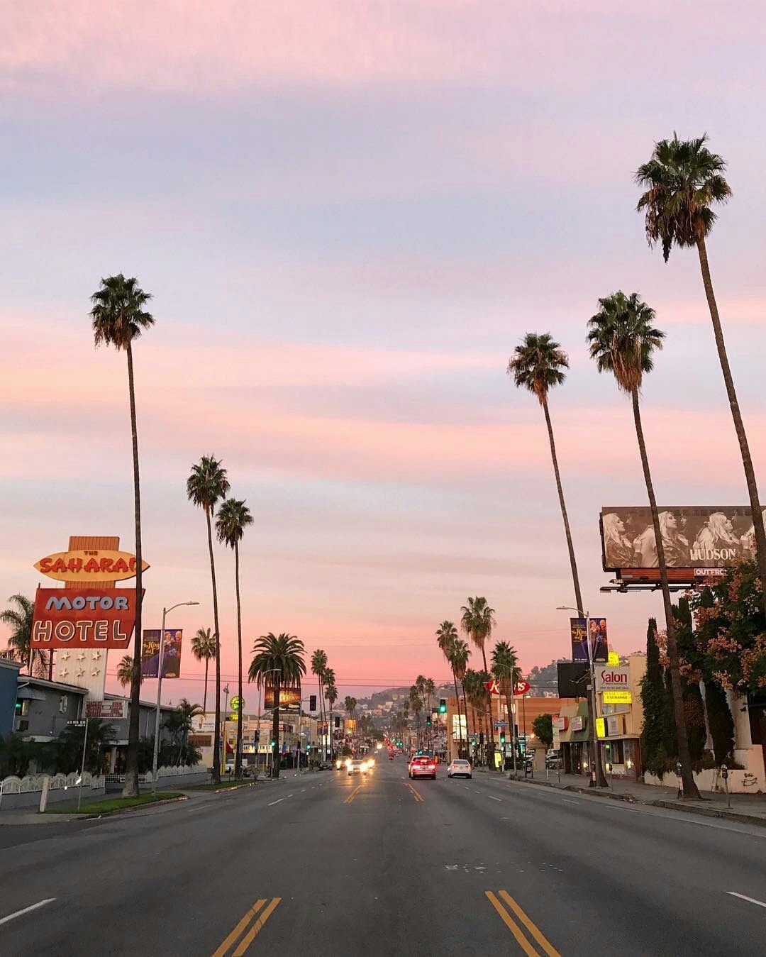 Palme viale Los Angeles tramonto, 1080x1349 Full HD Verticale, iPhone