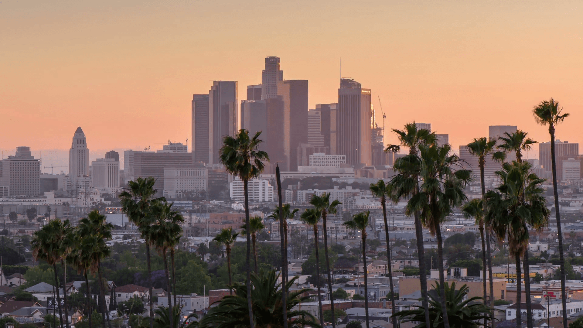 Skyline Los Angeles con palme, 1920x1080 1080p, PC Desktop