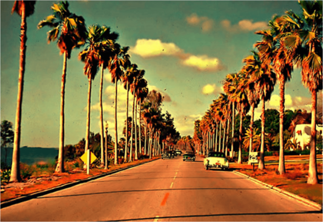 Strada con palme vintage, 1127x774 HD, Desktop