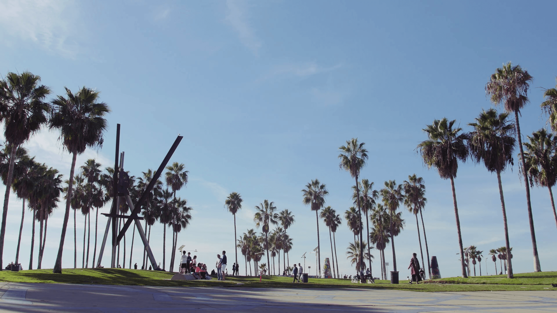 Palme lungo spiaggia Los Angeles, 1920x1080 1080p, Desktop
