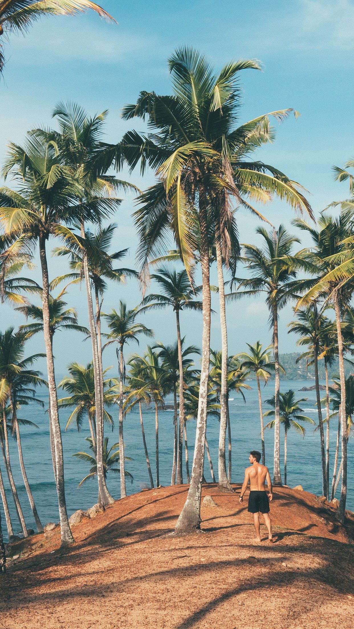 Uomo tra palme sulla spiaggia, 1242x2208 Full HD Verticale, iPhone Pro