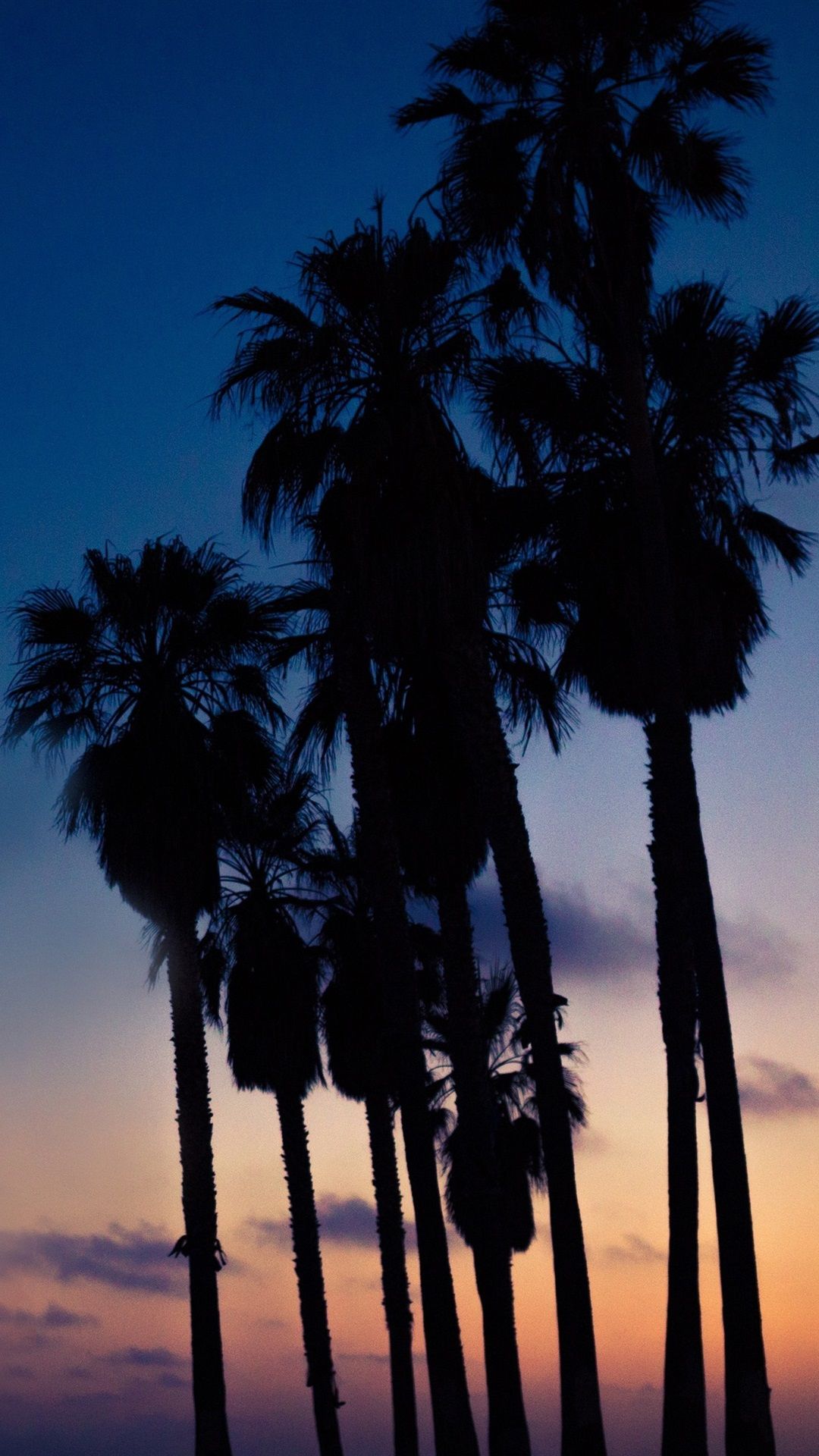 Palme al tramonto silhouette, 1080x1920 Verticale, iPhone
