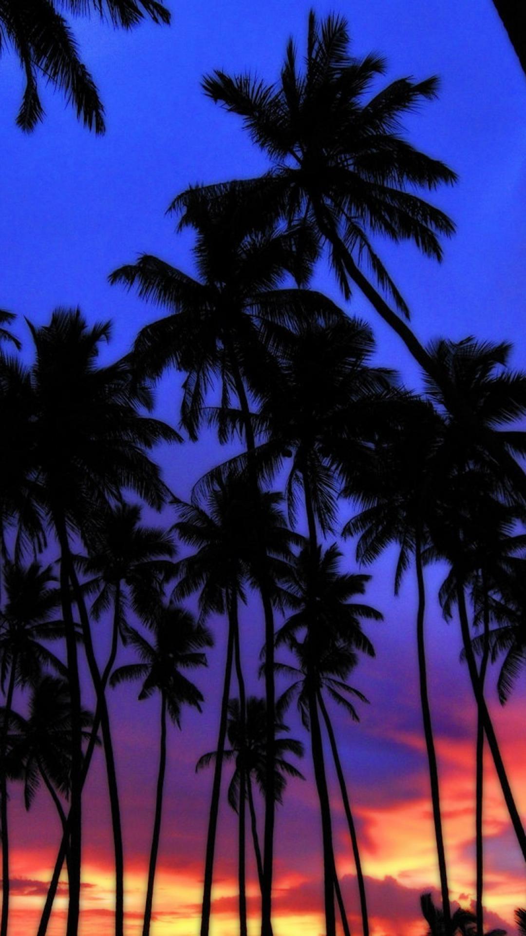 Palme silhouette al tramonto, 1080x1920 Full HD Verticale, iPhone Pro