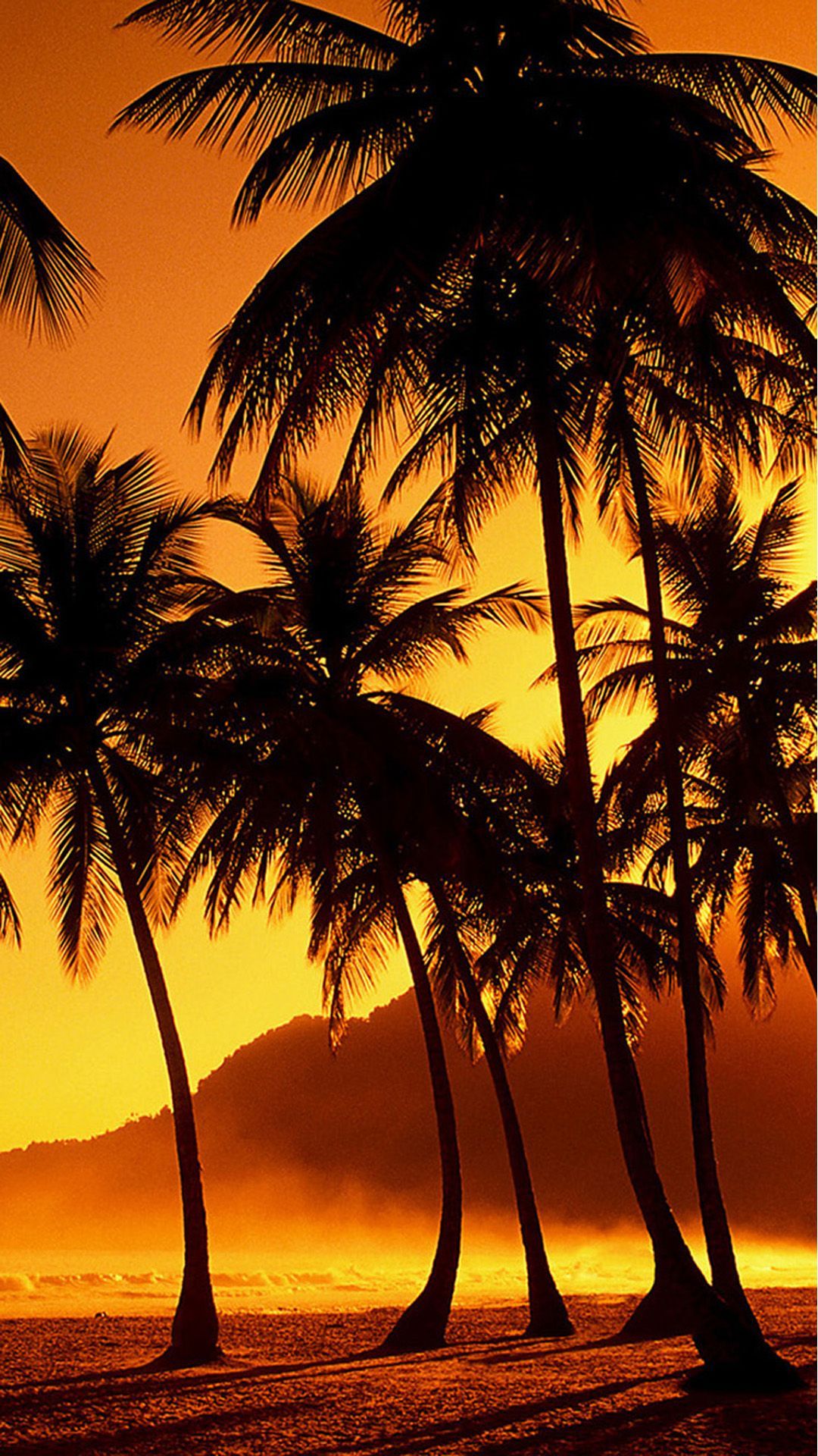 Palme al tramonto spiaggia, 1080x1920 Verticale, iPhone Air