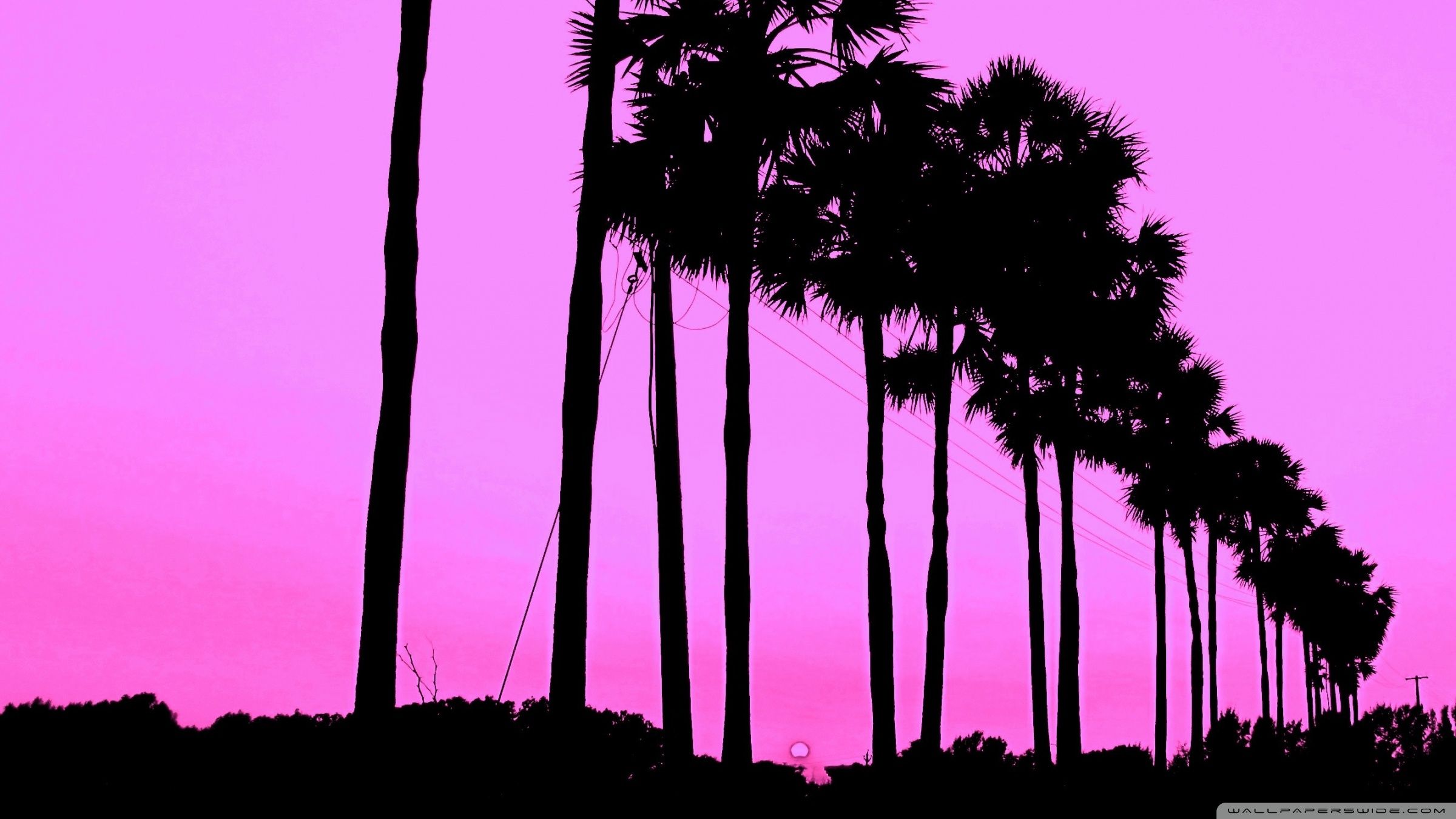 Palme silhouette cielo rosa, 2400x1350 Hi-Res, Desktop
