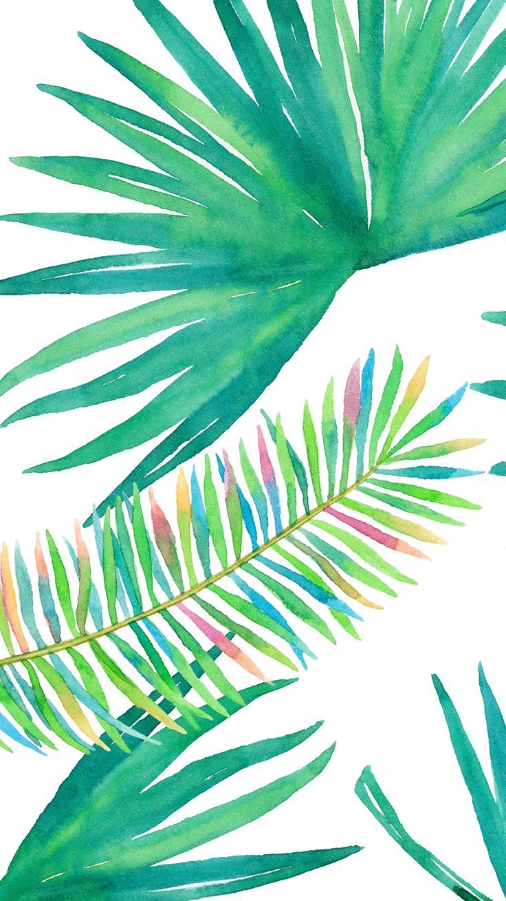 Palme acquerello verdi colorate, 736x1309 Full HD Verticale, iPhone