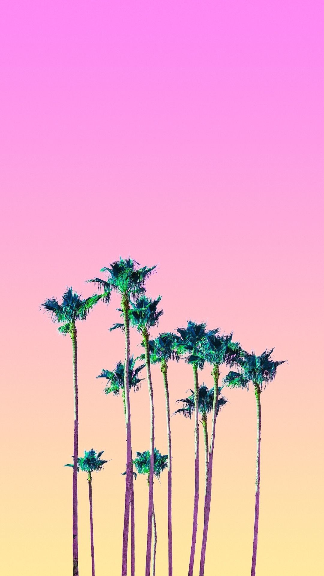Palme su cielo rosa e giallo, 1080x1920 Full HD Verticale, Samsung Galaxy