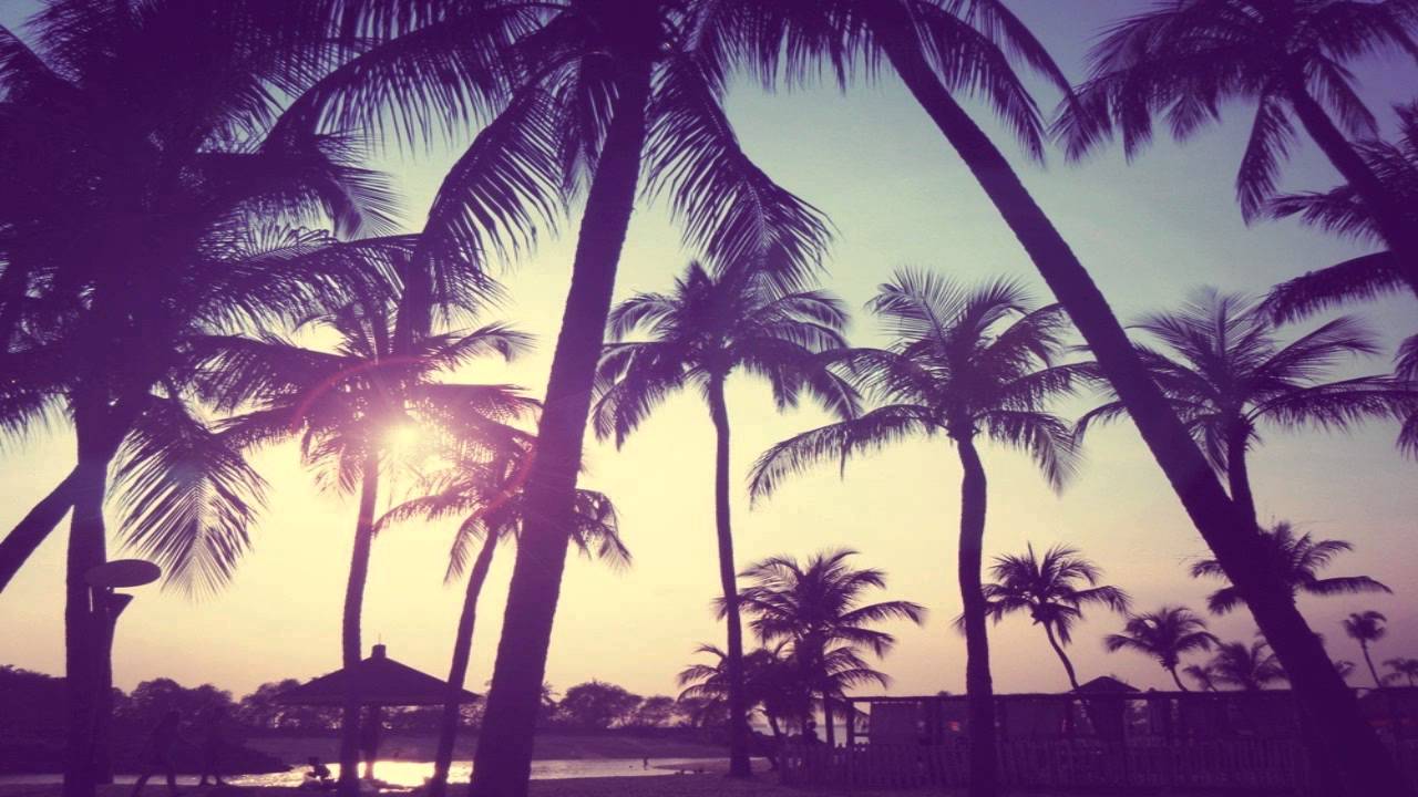 Palme al tramonto silhouette, 1280x720 720p, iMac