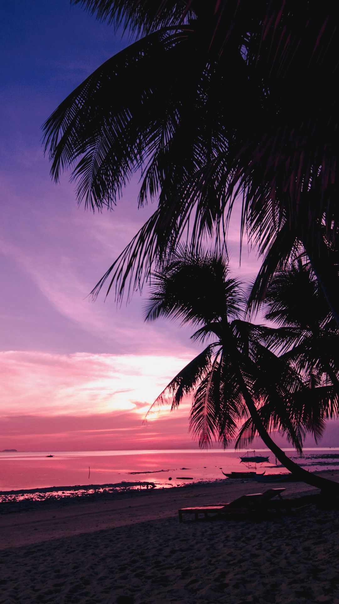 Palme al tramonto sulla spiaggia, 1080x1920 Full HD Verticale, iPhone