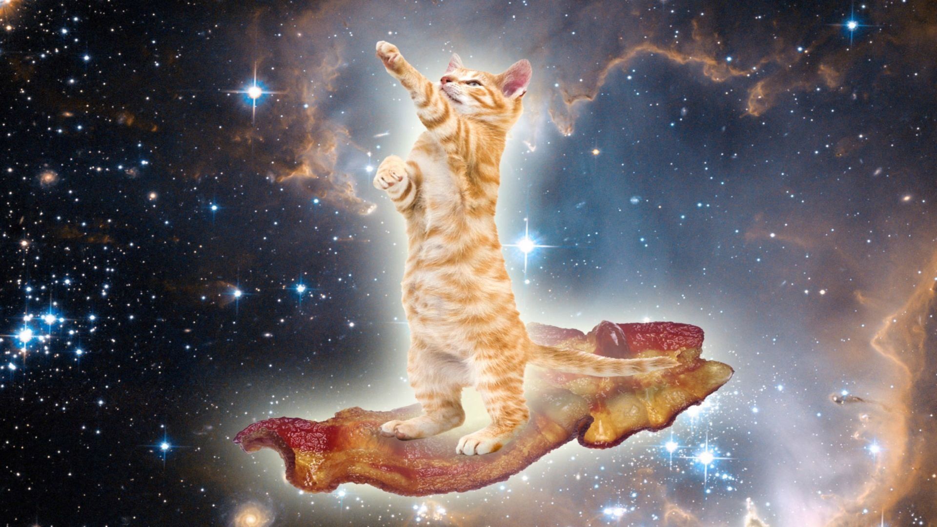 Piatto di pancetta fritta, 1920x1080 1080p, Desktop