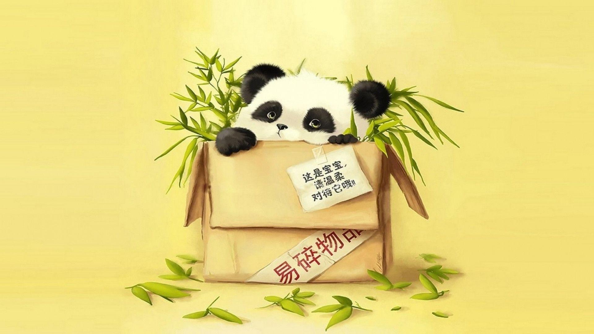 Panda in scatola di cartone, 1920x1080 Full HD 1080p, PC Desktop
