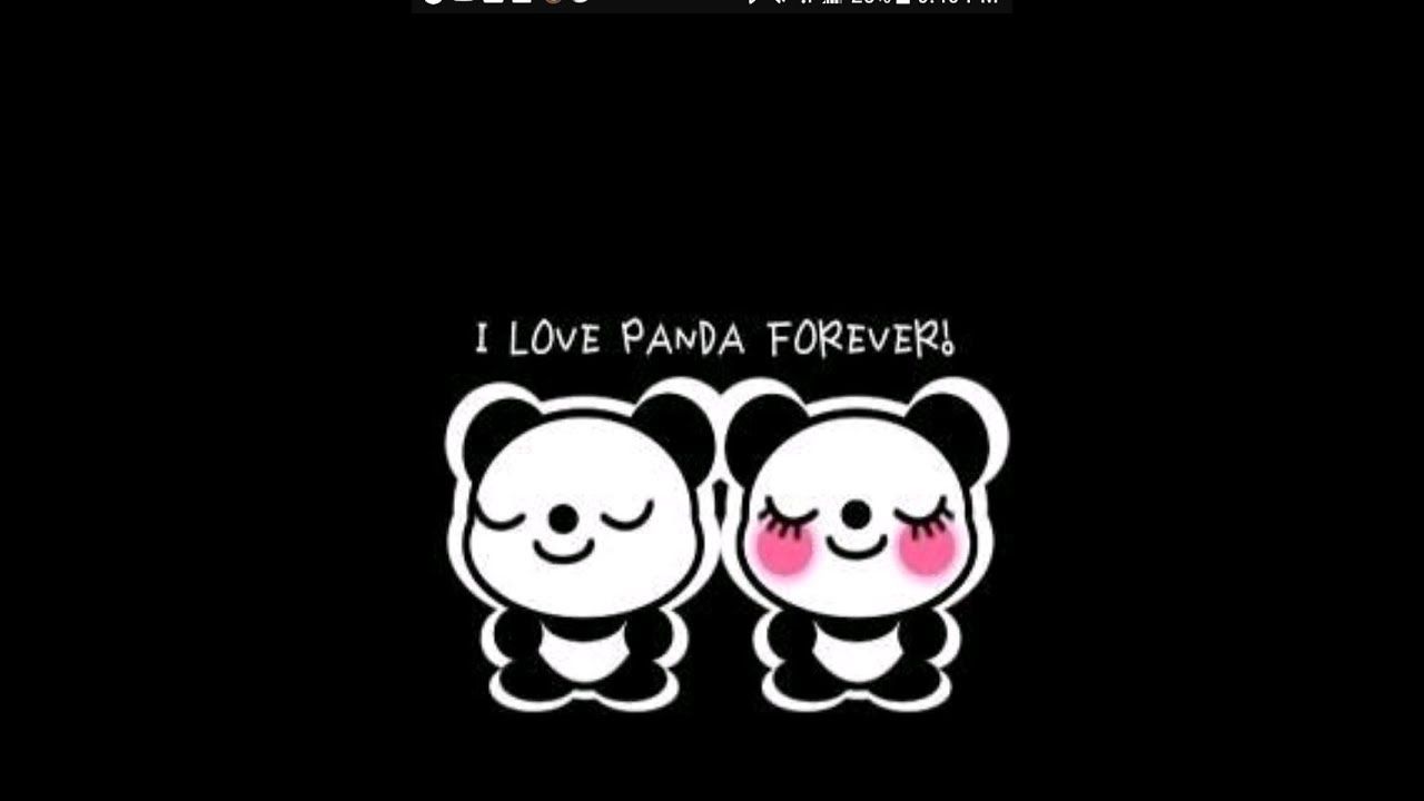 Panda anime bianco e nero, 2516x1574 alta risoluzione, PC