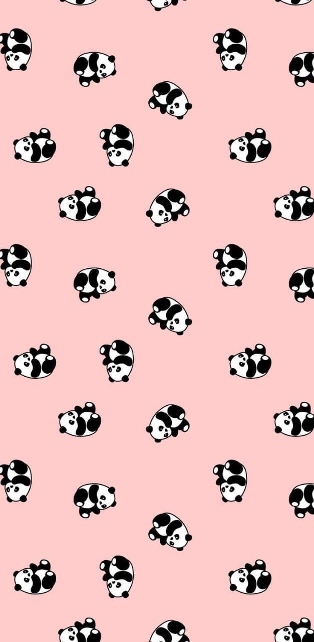 Panda Kawaii Carino, 1920x1080 Full HD 1080p, Desktop