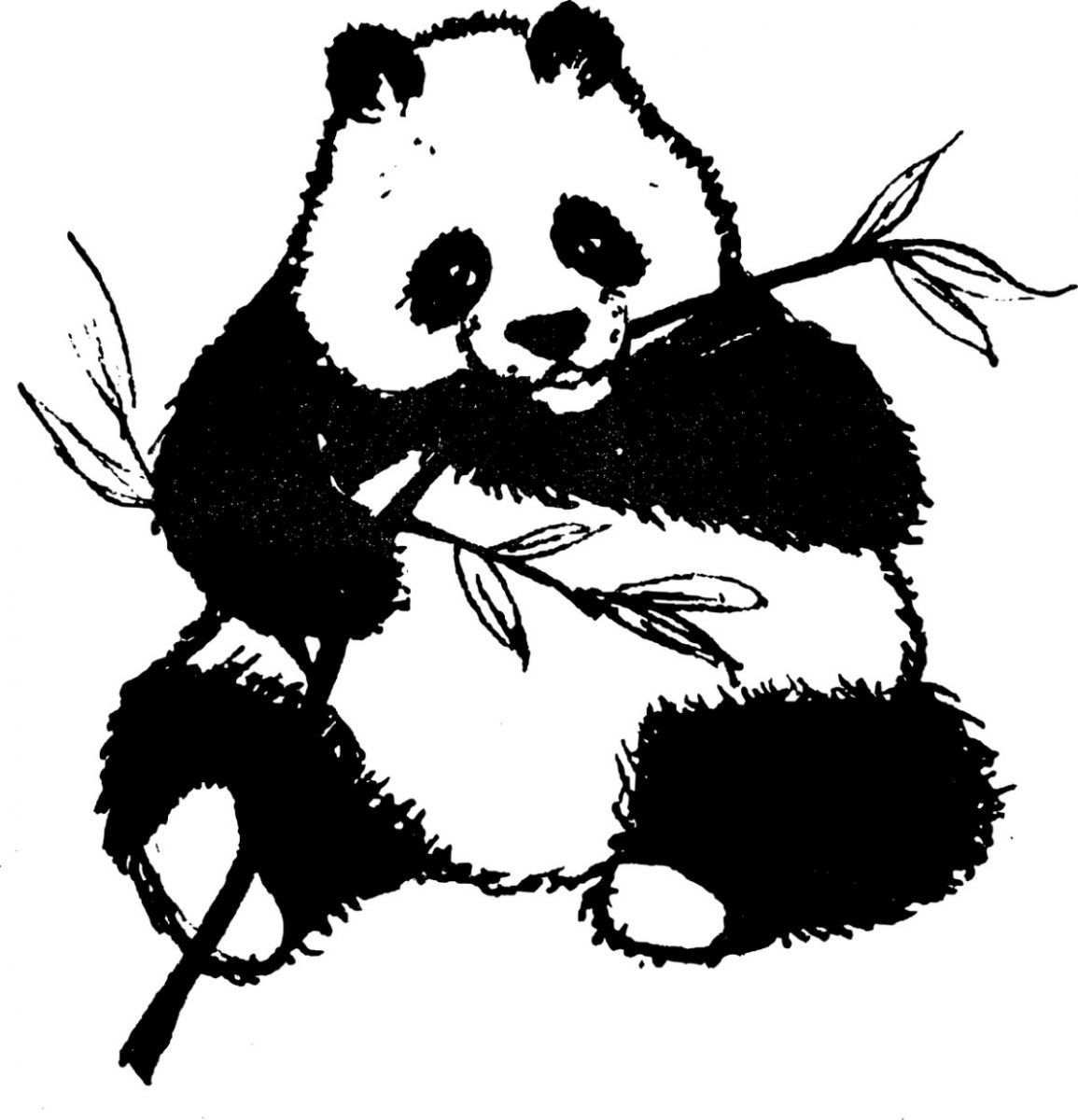 Panda in bianco e nero con bambù, 1155x1200 Verticale, Telefono