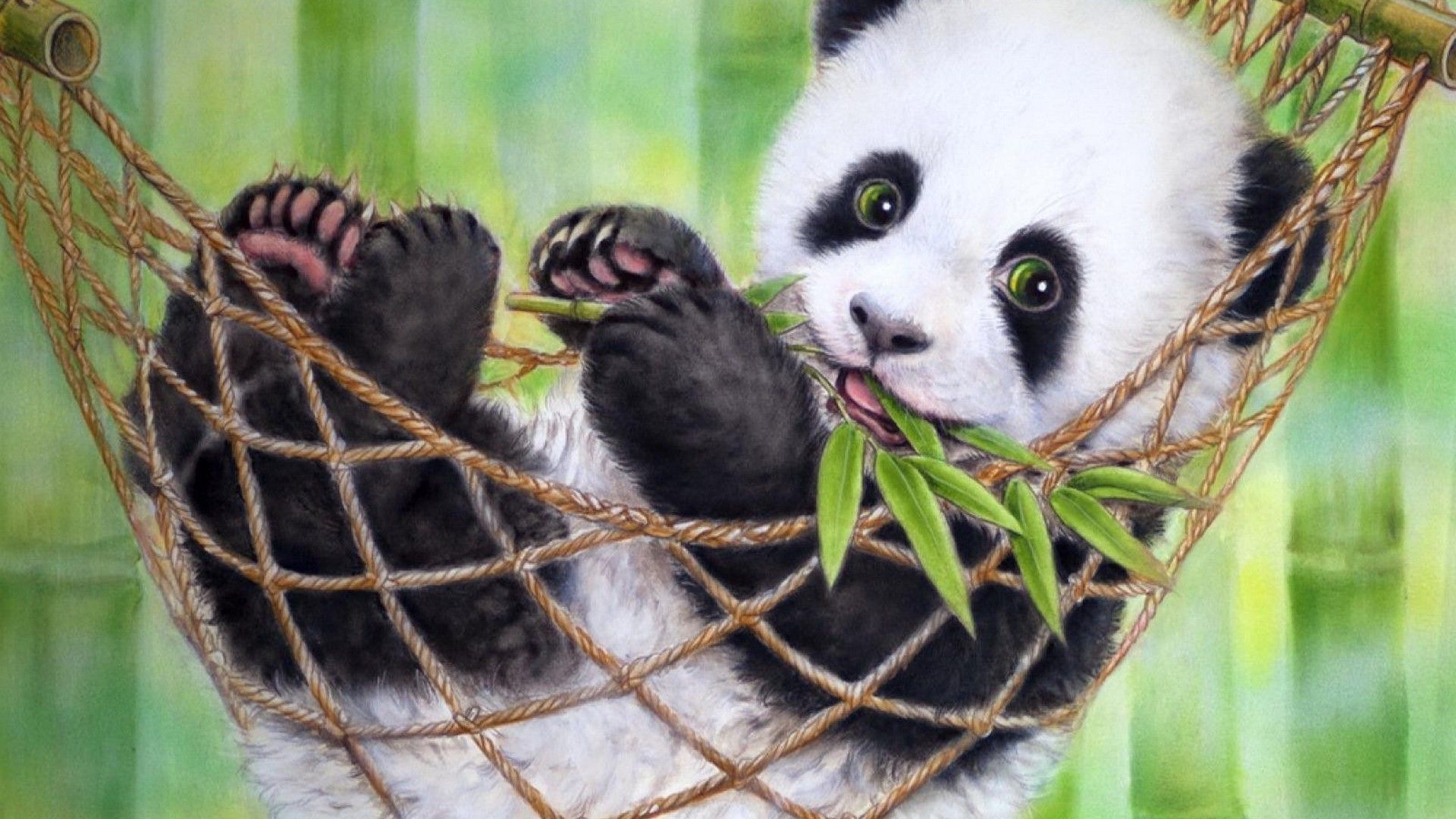 Cucciolo di panda su amaca, 1920x1080 Full HD, PC