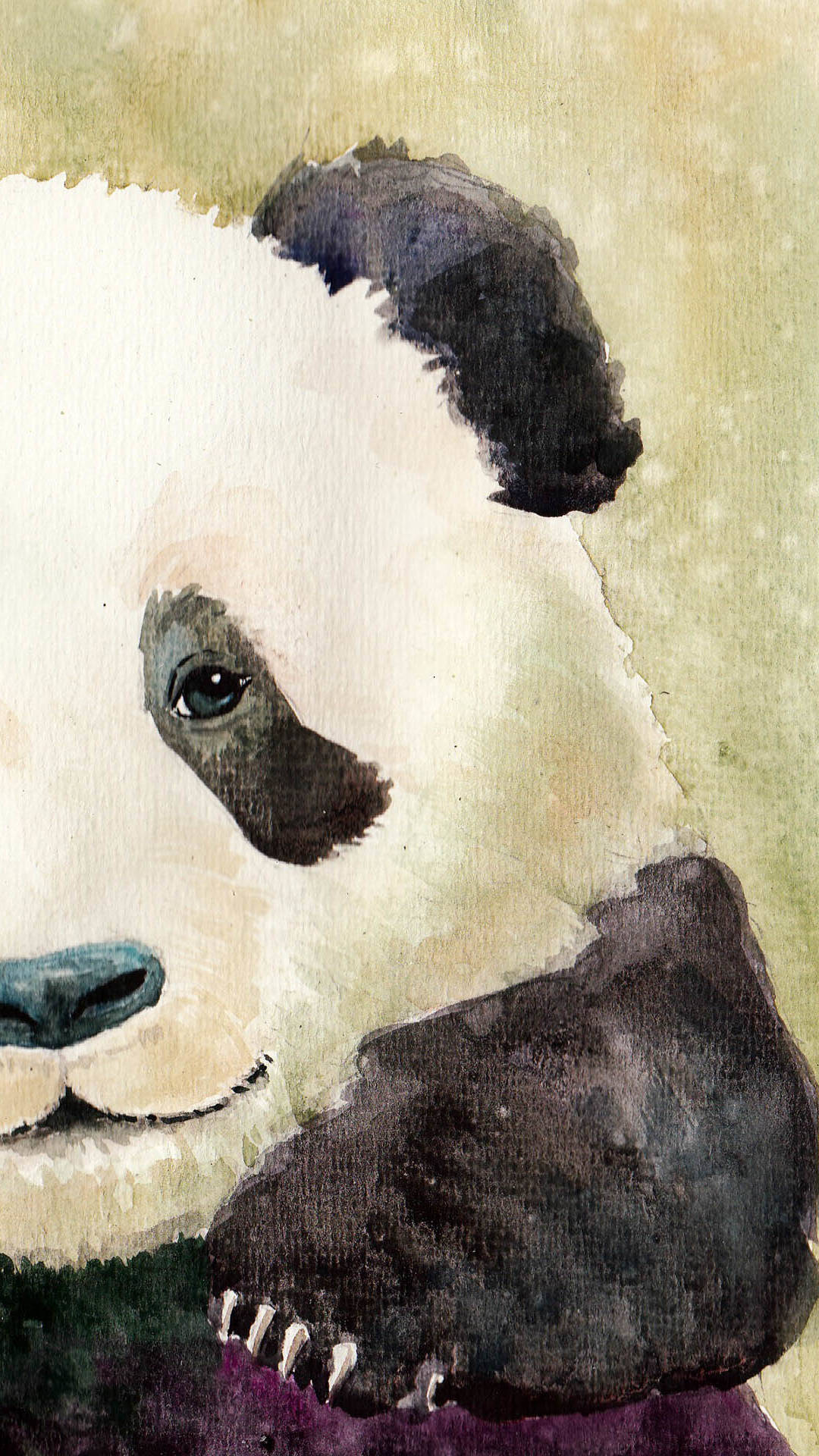 Panda dipinto ad acquerello, 1080x1920 Verticale, iPhone Plus