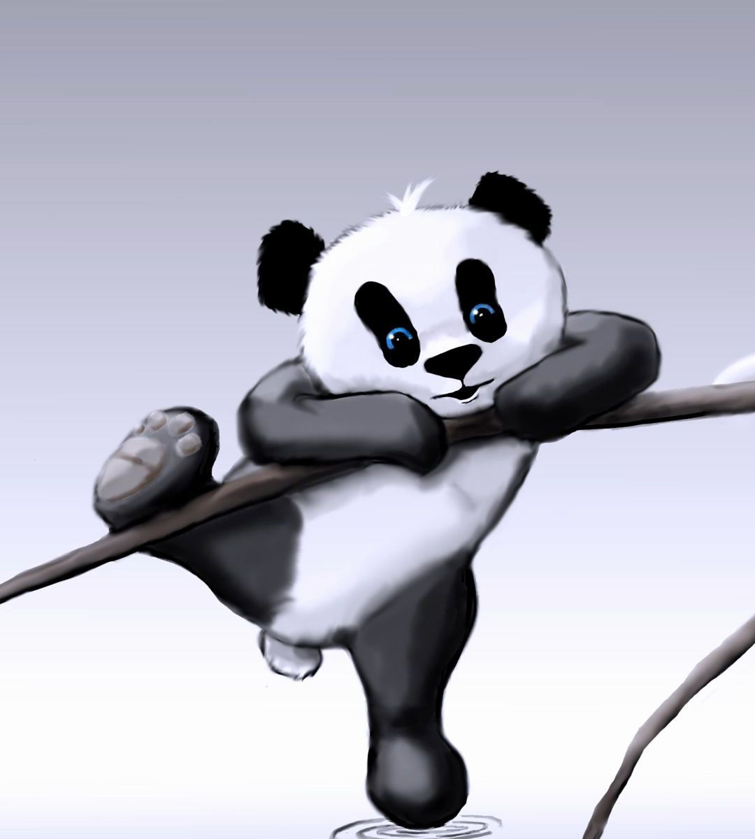 Panda cartone animato su ramo, 1080x1200 Full HD Verticale, iPhone