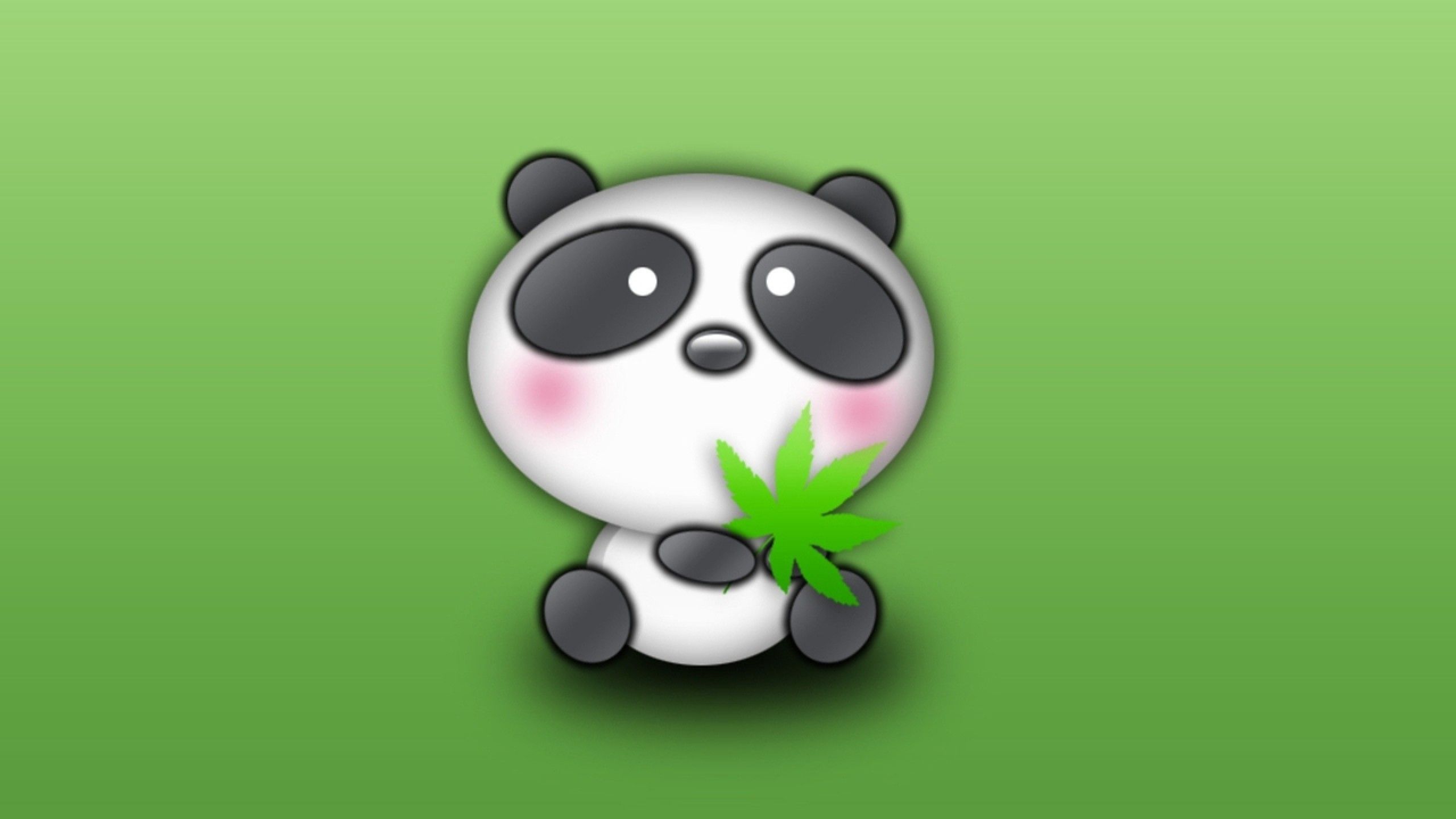 Cuccioli di panda gigante, 2048x1375 2K, PC Desktop