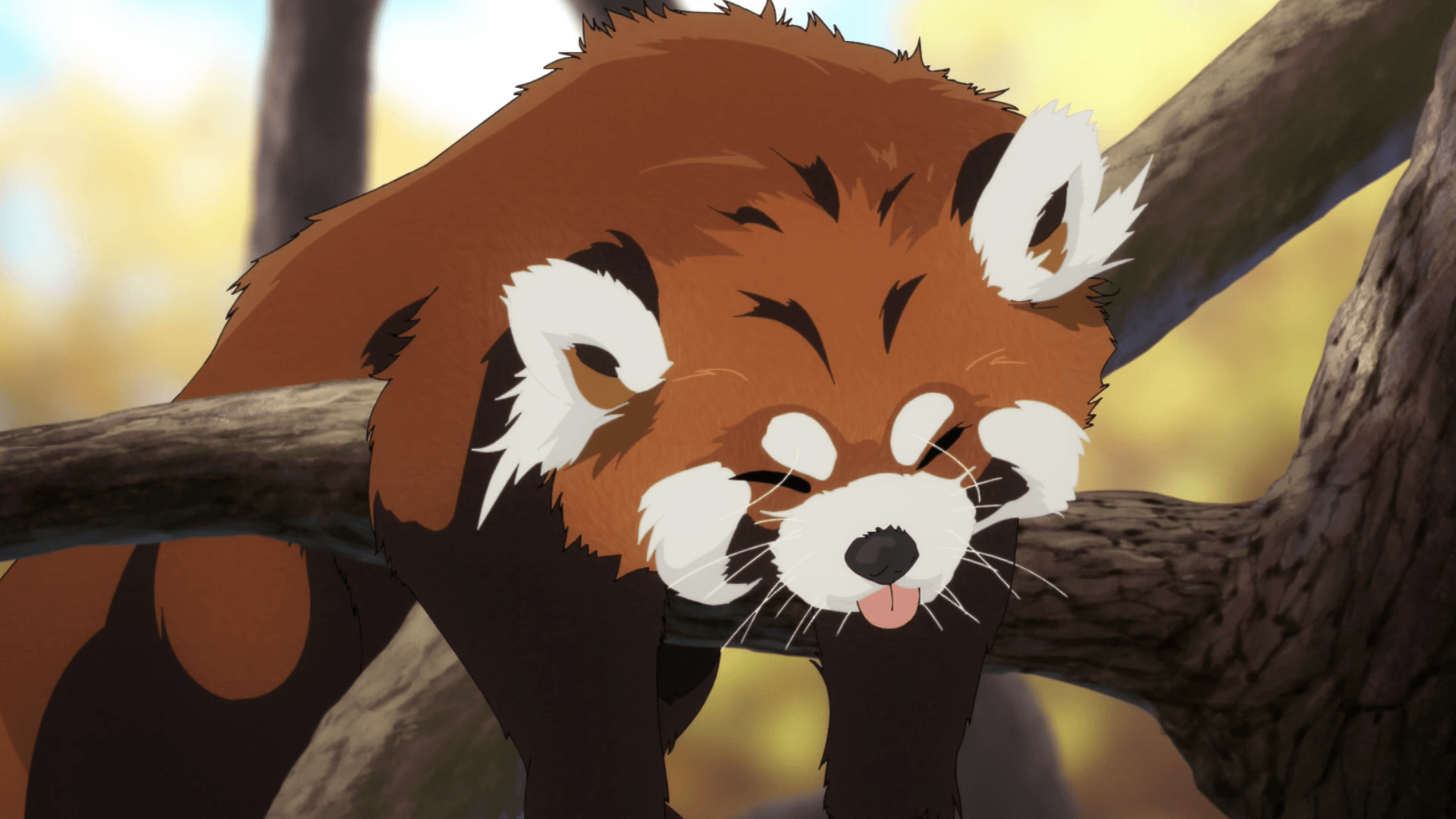 Panda rosso stile anime su ramo, 1920x1080 Full HD, PC