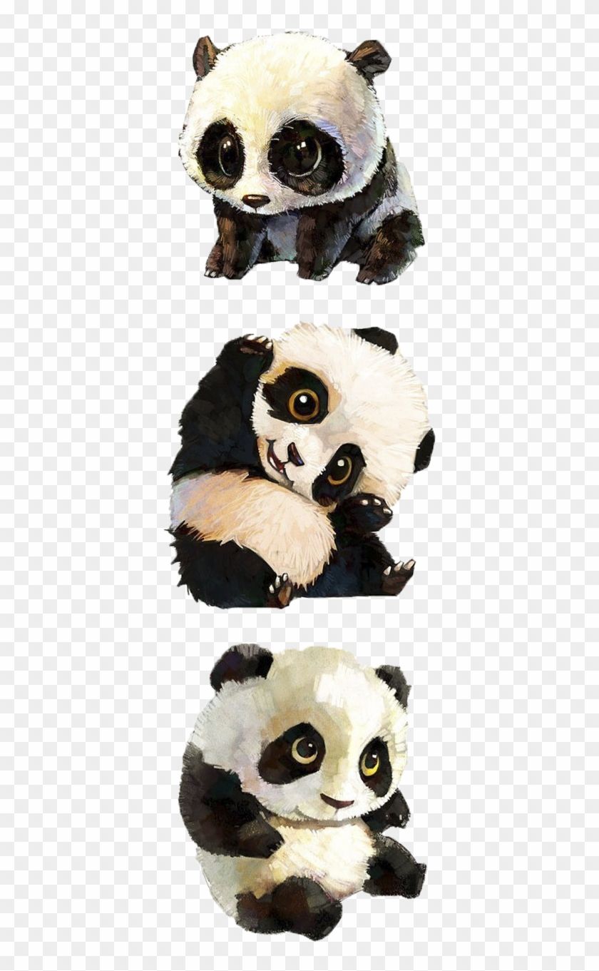 Panda nero e panda bianco, 2560x1600 2K, Desktop