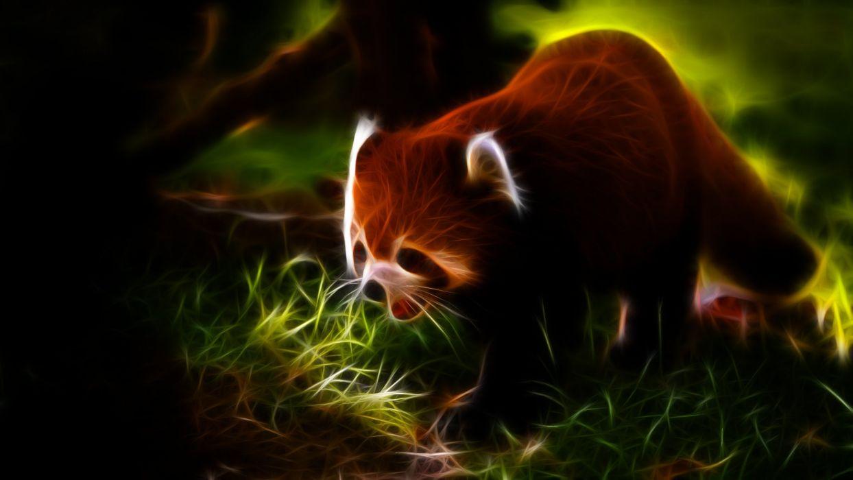 Panda rosso effetto fractalius, 1244x700 HD, Desktop
