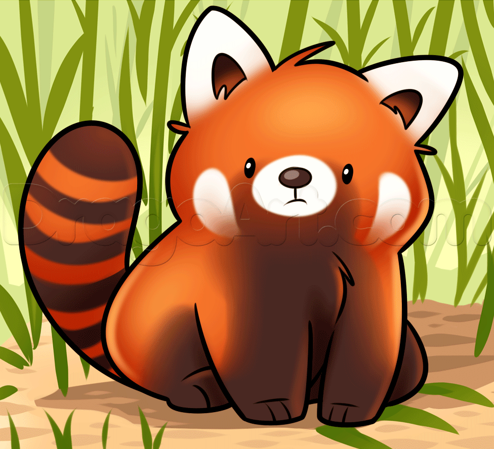Panda rosso su ramo, 2000x1125 alta risoluzione, Laptop