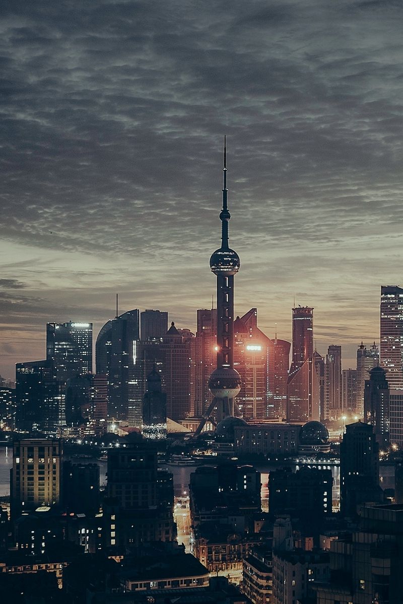 Skyline Shanghai notturno, 800x1200 Full HD Verticale, Smartphone
