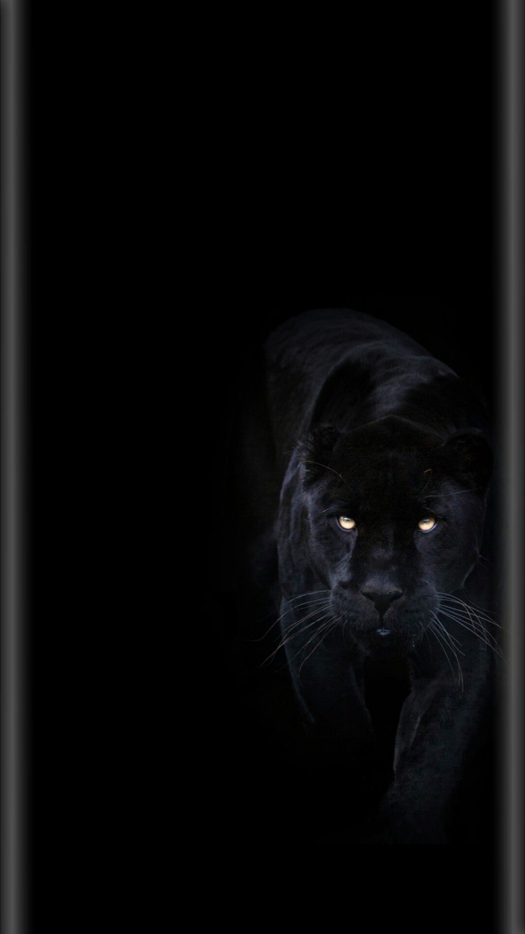 Pantera nera occhi gialli, 1080x1920 Full HD Verticale, Smartphone